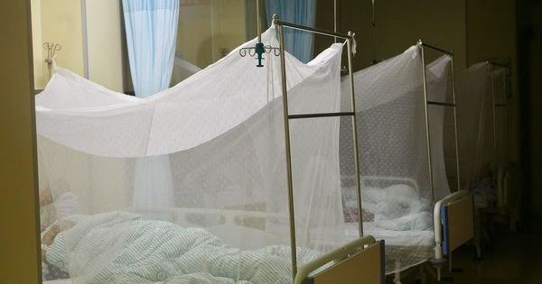 1.387 ca mắc mới virus Chikungunya được phát hiện tại Quảng Đông (Trung Quốc), chuyên gia cảnh báo nên cảnh giác avatar1754884935545 1754884937162175888181 25 0 400 600 crop 17548849701721850643749jpg