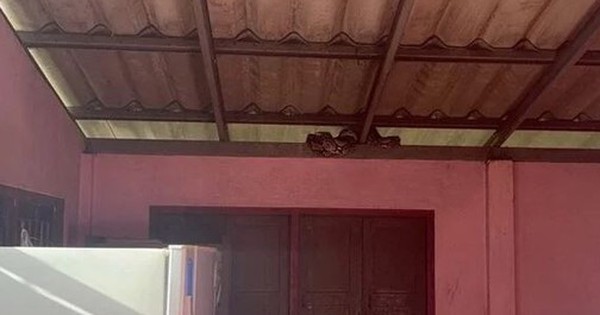 Chứng kiến cảnh tượng kinh hoàng trong bếp, cụ bà 74 tuổi sợ hãi đến mất ngủ avatar1754895799683 17548958001721873653971 0 0 315 504 crop 1754895807155296319135jpg