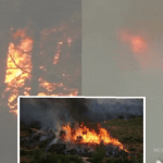 Châu Âu đang đỏ lửa như địa ngục: Người tử vong vì say nắng, nhiệt độ cao kỷ lục, cháy rừng khắp nơi và hàng ngàn người phải sơ tán avatar1755060050710 1755060051517903241218gifpng