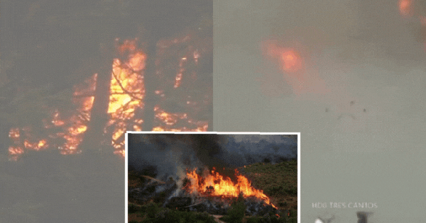 Châu Âu đang đỏ lửa như địa ngục: Người tử vong vì say nắng, nhiệt độ cao kỷ lục, cháy rừng khắp nơi và hàng ngàn người phải sơ tán avatar1755060050710 1755060051517903241218gifpng