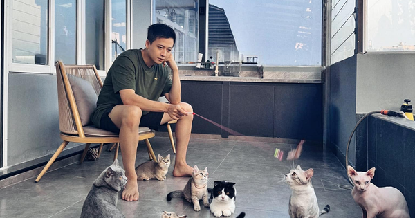 Nam nghệ sĩ sở hữu mỗi quận 2 căn nhà: “Phú ông” showbiz Việt, 23 tuổi có con, U40 siêu giàu, chưa vợ avatar1755166723029 1755166723686141293922 472 0 996 1000 crop 17551667898491115077081png