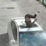 Ngã khỏi mái nhà, người đàn ông rơi trúng ô tô và cái kết avatar1755243281134 17552432815711559157538 0 37 315 541 crop 17552433168781430095954jpg