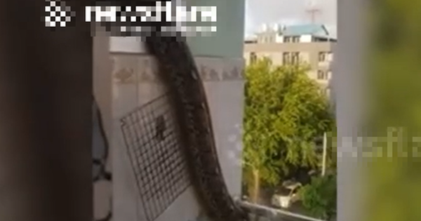 Nhìn ra cửa sổ, người dân phát hiện cảnh tượng nổi da gà avatar1755420574309 17554205766681054926958 0 41 315 545 crop 17554205981341392172136png