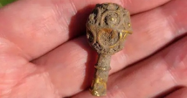 Nữ sinh viên đào được kho báu bằng vàng quý giá avatar1755502457786 1755502458267675045160jpg