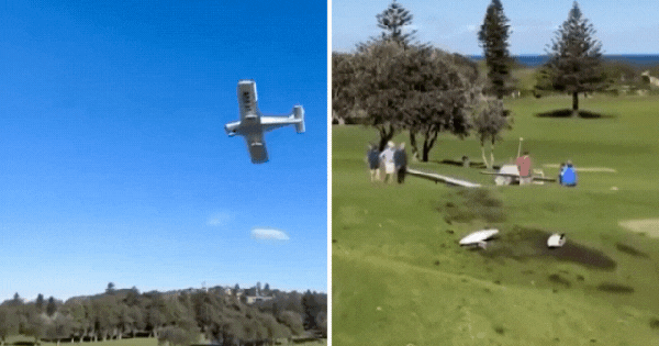 Khoảnh khắc máy bay nhỏ rơi thẳng xuống sân golf trong sự hoảng loạn của tất cả mọi người avatar1755503259237 17555032596341632359541gifpng