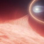 Phát hiện vật thể "thế giới bên kia" sáp nhập vật thể sống avatar1755586533255 1755586533615244082530 0 69 315 573 crop 1755586551660876073685jpeg