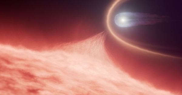 Phát hiện vật thể "thế giới bên kia" sáp nhập vật thể sống avatar1755586533255 1755586533615244082530 0 69 315 573 crop 1755586551660876073685jpeg