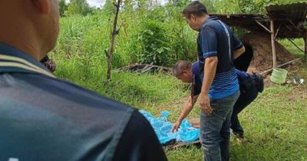 Phát hiện mùi bất thường khi đi chặt mía, người dân sốc nặng khi nhìn vào lò than avatar1755675126108 17556751265011104100602 0 47 315 551 crop 1755675144773669461411jpg