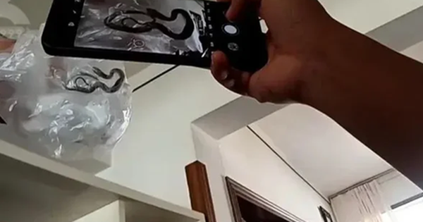 Vừa mở cửa vào nhà, cặp vợ chồng hoảng hốt khi thấy cảnh tượng đáng sợ trong phòng khách avatar1755777286356 1755777287171236934502 0 0 315 504 crop 175577771390580282470png