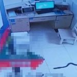 Cụ ông bị rắn hổ mang dài 2,2 mét cắn, gia đình có màn xử lý bất ngờ avatar1755930066642 17559300669311346663170 0 26 315 530 crop 175593008196994688886jpg