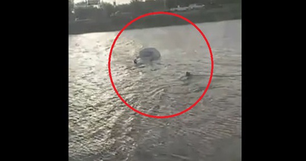 Ô tô lao xuống kênh, người dân đập cửa cứu 2 vợ chồng mắc kẹt avatar1756015777210 1756015777559820998644 0 44 315 548 crop 17560158658031630953654jpg