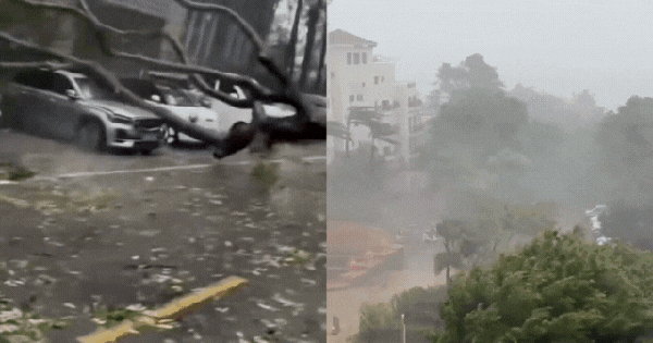 Cảnh tượng kinh hoàng khi bão số 5 (bão Kajiki) đổ bộ Trung Quốc: Cây đổ hàng loạt, giao thông tê liệt avatar1756105980155 17561059805591456803932gifpng