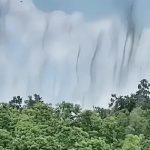 Cây cối ven Tây Hồ ở Trung Quốc đồng loạt liên tục "nhả khói", chuyên gia lập tức vào cuộc avatar1756109615403 17561096156911540933512 0 79 525 919 crop 1756109631165192528842jpg