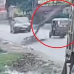 Cây xoài khô bất ngờ đổ xuống đường, đè trúng xe ba bánh avatar1756195824777 1756195825272791863929 0 0 315 504 crop 1756195867576878474345jpg