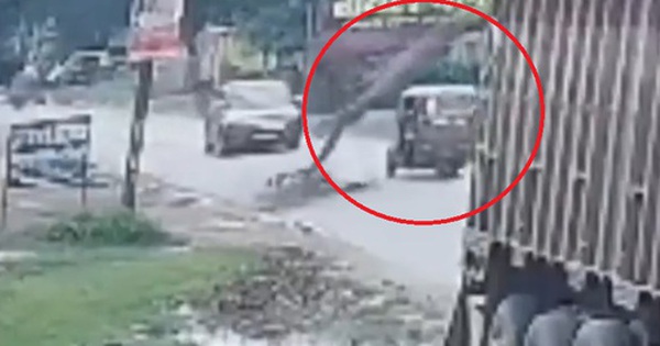 Cây xoài khô bất ngờ đổ xuống đường, đè trúng xe ba bánh avatar1756195824777 1756195825272791863929 0 0 315 504 crop 1756195867576878474345jpg