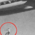 Bức ảnh 'rùng rợn nhất mọi thời đại': Sự thật chấn động về cậu bé rơi khỏi máy bay avatar1756270313232 17562703140221740552668jpg