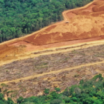 Nghiên cứu mới gây sốc: Hơn nửa triệu ca tử vong trong vòng 20 năm qua vì một vấn nạn quen thuộc avatar1756385518878 17563855192941859393210png
