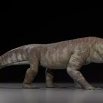 Phát hiện loài quái vật khiến khủng long cũng khiếp sợ avatar1756520053421 17565200536791282893588jpg