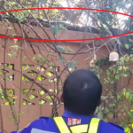 Nhìn ra sân, người dân thấy cảnh tượng nổi da gà avatar1756551638556 1756551638954322780203 0 37 315 541 crop 17565516606981060741099png