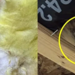 Bỏ 10 tỷ mua nhà, cặp vợ chồng trẻ thấy thứ đáng sợ "náu" trong nhà avatar1756614843983 17566148443001633673143 0 66 315 570 crop 17566148620531865640000png