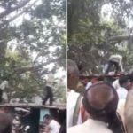 Tiền mặt rơi lả tả từ trên cây xuống và sự thật bất ngờ avatar1756614969424 17566149700741447687398jpg