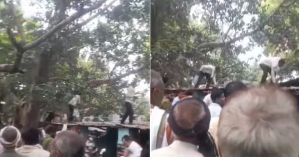 Tiền mặt rơi lả tả từ trên cây xuống và sự thật bất ngờ avatar1756614969424 17566149700741447687398jpg