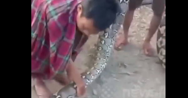 Nhìn ra đường, dân làng bắt gặp cảnh tượng nổi da gà avatar1756615238232 17566152385301031645660 0 44 315 548 crop 175661526062467767219png