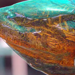 Loài xâm lấn châu Á khiến giới chức Mỹ lo ngại: Dài 85 cm, sống tới 10 năm, đẻ hàng trăm trứng mỗi lứa avatar1756798785748 17567987861851217928997png