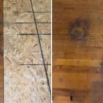 Chủ nhà cũ qua đời trong cô độc, người phụ nữ nhấc tấm thảm lên và phát hiện điều rùng rợn dưới sàn gỗ avatar1757049463874 17570494645931226284052 0 0 494 790 crop 1757049487260220391122jpg