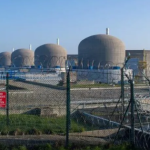 Sinh vật không não nhưng đủ sức khiến hai nhà máy điện hạt nhân lớn nhất nhì đất nước phải “tê liệt” avatar1757057845927 17570578462351495535824png