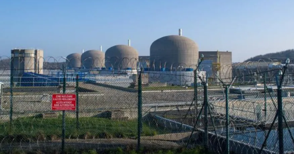 Sinh vật không não nhưng đủ sức khiến hai nhà máy điện hạt nhân lớn nhất nhì đất nước phải “tê liệt” avatar1757057845927 17570578462351495535824png