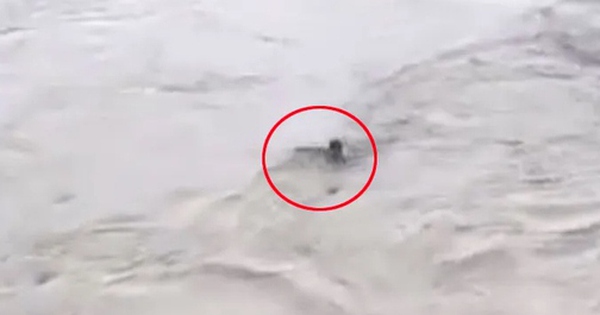 Nhảy xuống sông để lấy 141 nghìn đồng, nam thanh niên bị nước lũ cuốn trôi avatar1757062826119 17570628266261637624022 0 33 315 537 crop 17570628416601443714135jpg