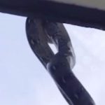 Nhìn ra cửa sổ, học sinh la hét khi thấy cảnh tượng đáng sợ avatar1757148349859 1757148350088287398271jpg