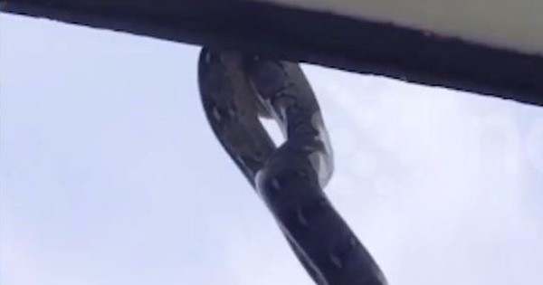 Nhìn ra cửa sổ, học sinh la hét khi thấy cảnh tượng đáng sợ avatar1757148349859 1757148350088287398271jpg