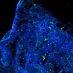 Tàu Nhật Bản đem về 2 thứ không có ở bất kỳ đâu trên Trái Đất avatar1757304095218 1757304095776432674427 0 45 315 549 crop 1757304116716751980262jpg