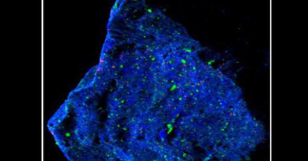 Tàu Nhật Bản đem về 2 thứ không có ở bất kỳ đâu trên Trái Đất avatar1757304095218 1757304095776432674427 0 45 315 549 crop 1757304116716751980262jpg