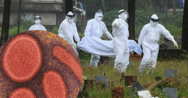 5 năm sau COVID-19, Hàn Quốc xuất hiện thêm bệnh truyền nhiễm cấp độ 1, tỷ lệ tử vong 75% avatar1757390915554 17573909163551276652744png