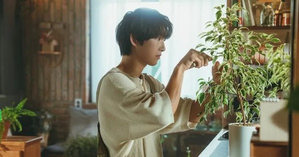Khán giả lạnh nhạt với phim mới của Song Joong Ki, netizen mỉa mai: Người đàn ông hai lần hôn nhân, giờ đóng phim lãng mạn xem thấy kì avatar1757500432001 17575004325301616013142 0 0 314 600 crop 17575006545541777313421jpg