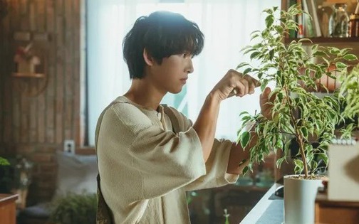 Khán giả lạnh nhạt với phim mới của Song Joong Ki, netizen mỉa mai: Người đàn ông hai lần hôn nhân, giờ đóng phim lãng mạn xem thấy kì
