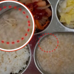 Rùng mình với khay cơm nổi đầy ấu trùng tại một nhà trẻ ở Hàn Quốc avatar1757651020584 17576510219201955456395png