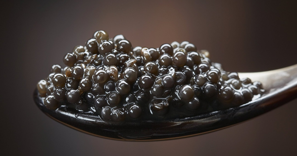 Thứ xưa tưởng vứt đi, nay "lên đời" thành đặc sản xa xỉ giá 3 tỷ đồng/kg avatar1757653352333 17576533527051116087103png