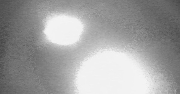 Đặt camera ẩn trong rừng hoang, phát hiện hình ảnh sốc avatar1757766134996 17577661357401902138613 0 61 315 565 crop 17577661548261016155031jpg