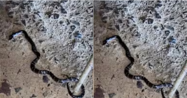 Đang ngồi xem tivi, 2 con tử vong, bố nguy kịch, sự thật bất ngờ phía sau nhà avatar1757826575108 17578265755811410561586png