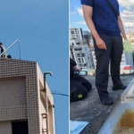 Ngửi thấy mùi lạ trong nước, người dân lên kiểm tra thì phát hiện thi thể đang phân hủy trong bể chung cư avatar1758093747219 175809374754729448328 0 65 473 822 crop 17580937593441637648093png