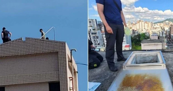 Ngửi thấy mùi lạ trong nước, người dân lên kiểm tra thì phát hiện thi thể đang phân hủy trong bể chung cư avatar1758093747219 175809374754729448328 0 65 473 822 crop 17580937593441637648093png