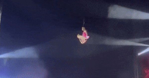 Vụ tai nạn trong rạp xiếc avatar1758166131406 1758166132037700685134 0 0 185 353 crop 1758166214799322488926gifpng