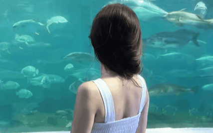 Việt Nam mới có 1 nữ thần thanh xuân đẹp rụng rời, nhan sắc trăm người ngắm vạn người cuống cuồng thả like