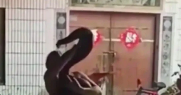 Đi đám cưới, cô gái trẻ bị con trăn "khủng" cắn vào mặt và cái kết bất ngờ avatar1758435713976 17584357141981021271916png