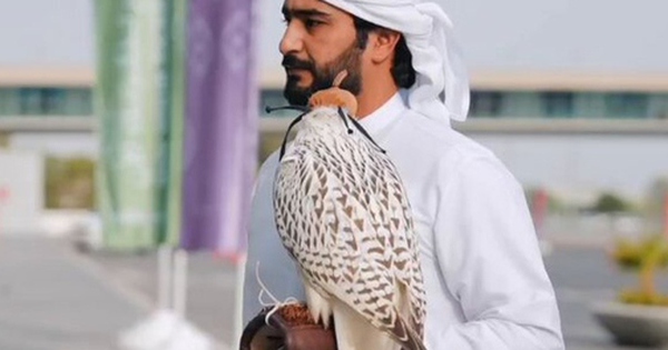 Người đàn ông xuống tiền mua con chim với giá 2,5 tỷ đồng avatar1758447677489 17584476779922117451657 0 53 315 557 crop 17584476938811470543494jpg