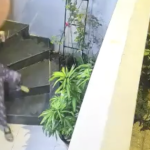 Phát hoảng khi xem clip 1 Em Xinh té cầu thang avatar1758528302892 1758528304651517726826 0 0 977 1865 crop 1758528402792613850799png